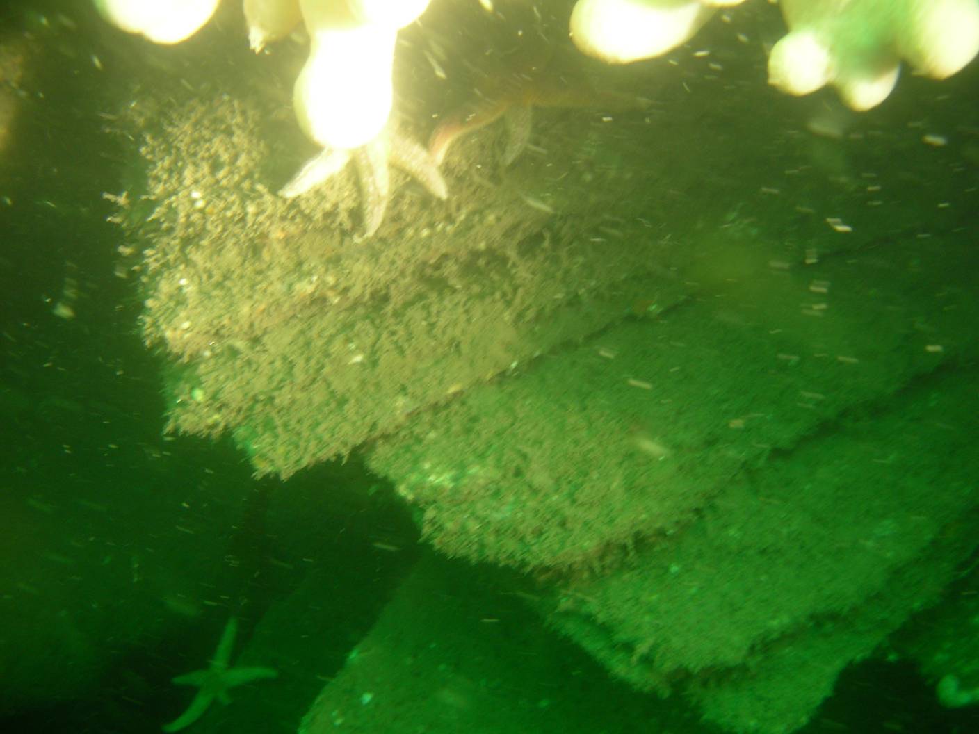 Remembering the Tayleur Shipwreck at Skerries Mills