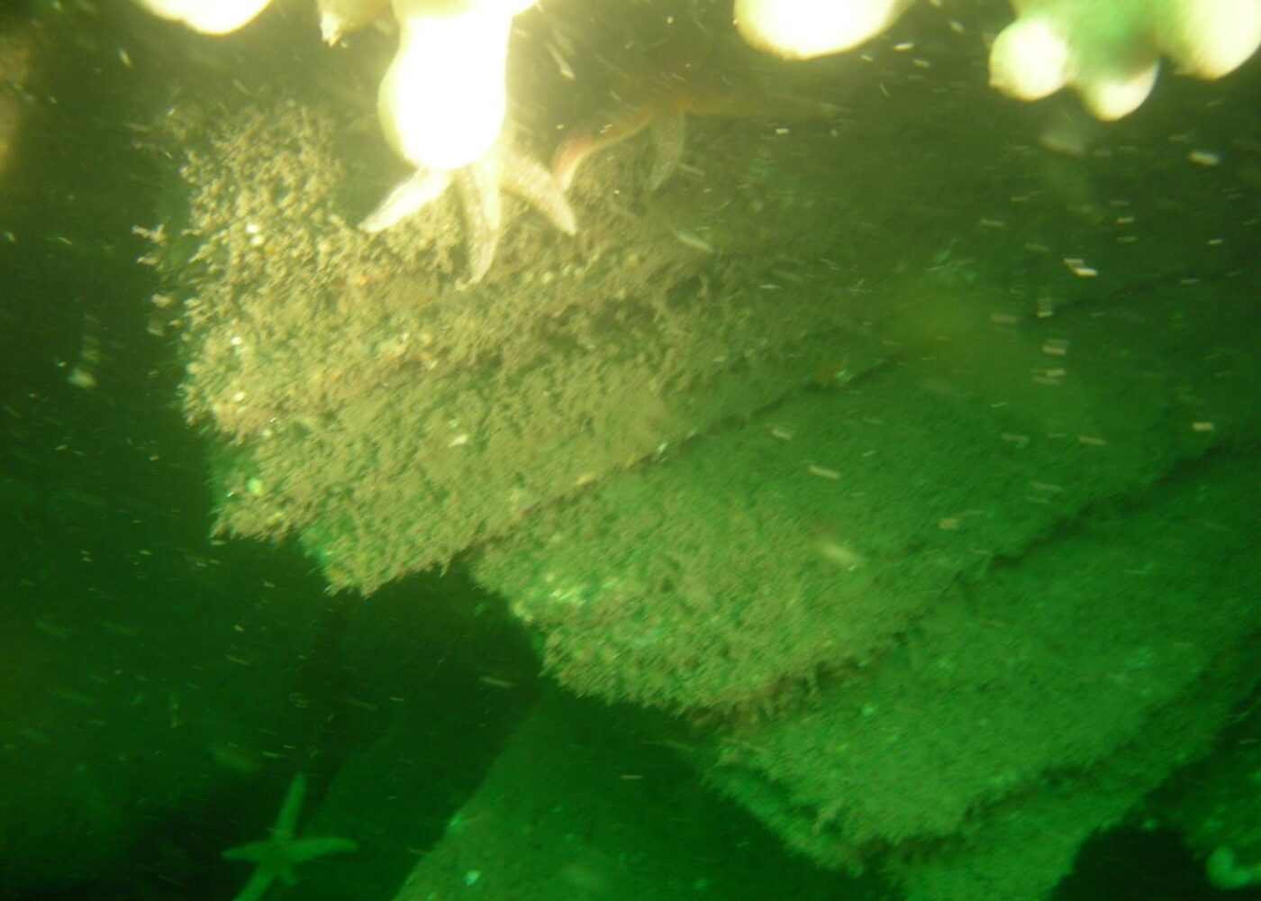 The Wreck of the sailing ship Tayleur on Lambay
