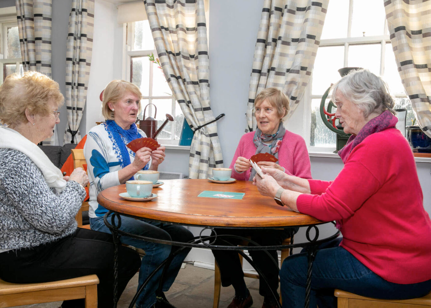 Community Group at Skerries Mills