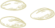 seeds