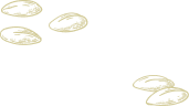 seeds