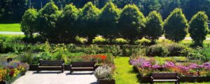 Skerries Mills Community Garden