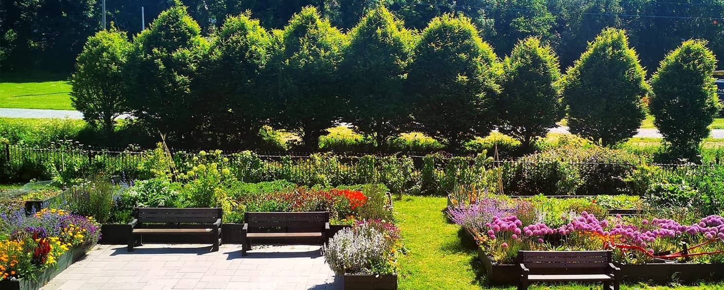 Skerries Mills Community Garden