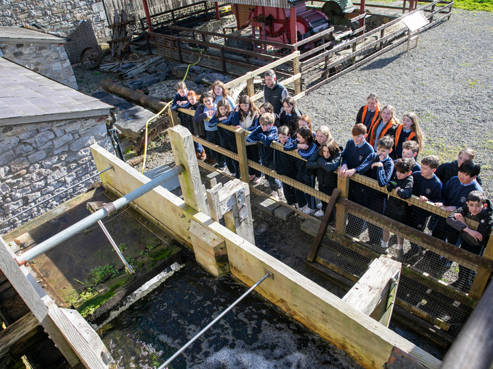 School trip at Skerries Mills
