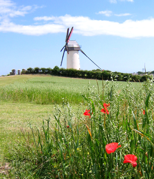Skerries Mills