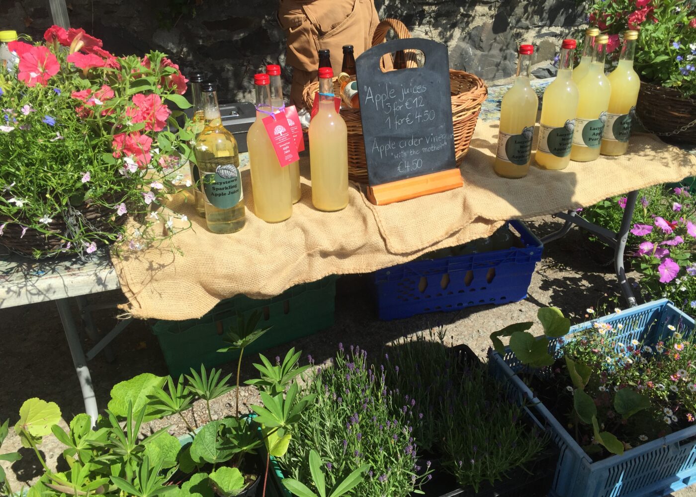 Saturday Market Dublin